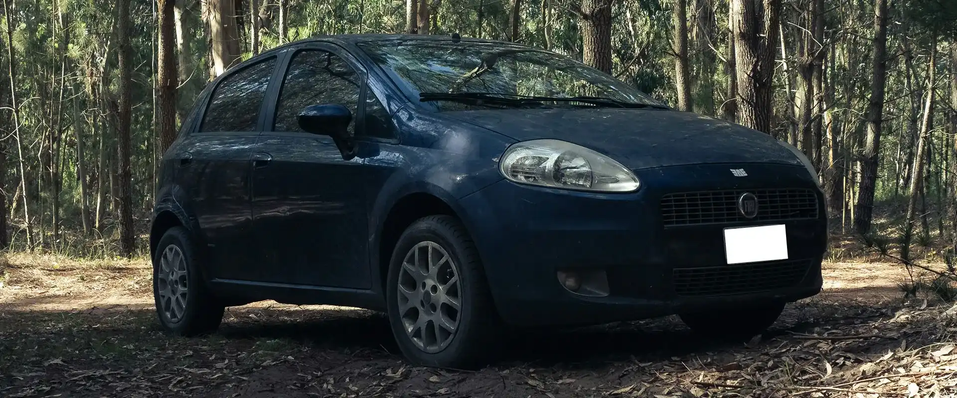 Fiat Repair and Service near Canton, GA